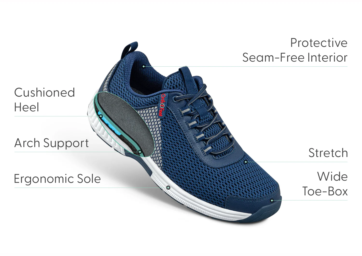 Edgewater - Blue - Image 3