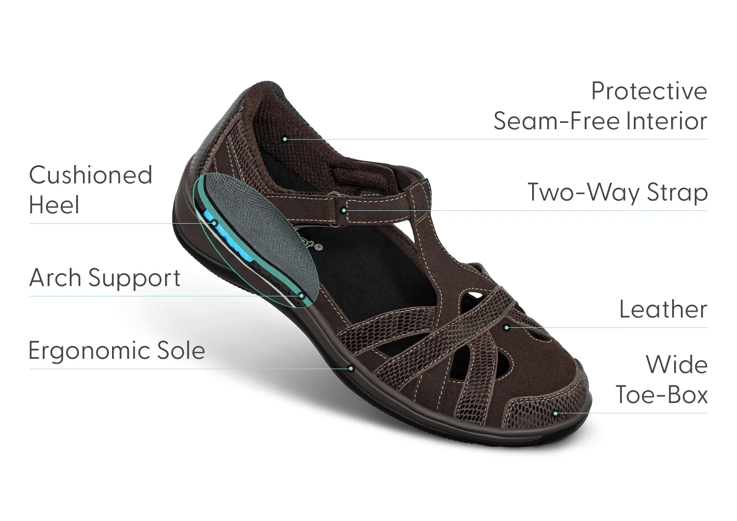 Juno - Chocolate - Image 3